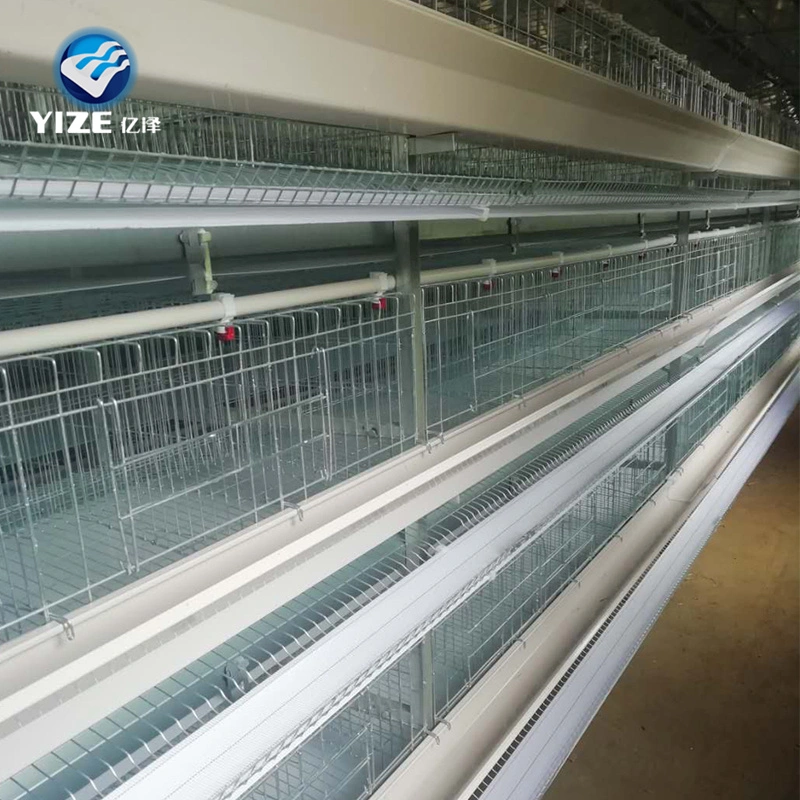 Tanzania Galvanized Layer Poultry Farm Chicken Cage for Sale