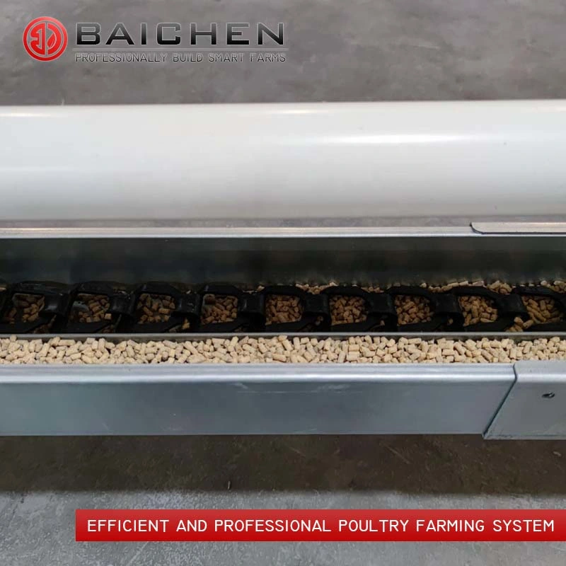 Poultry Automatic Feeder Chain Feeding System for Poultry Farm