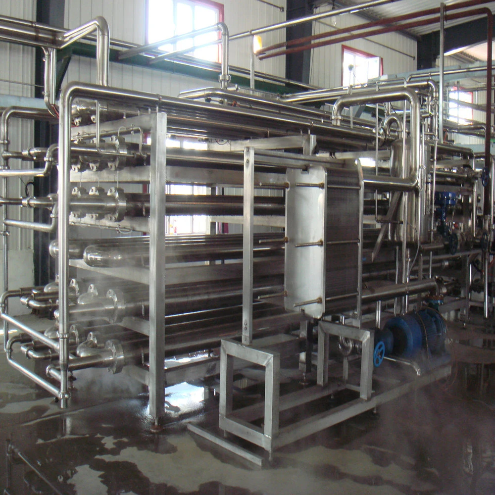 Tube in Tube Sterilizer for Fruit Paste