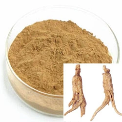 High Quality 1.5% Ligustilide 0.1% Ferulic Acid of Angelica Extract