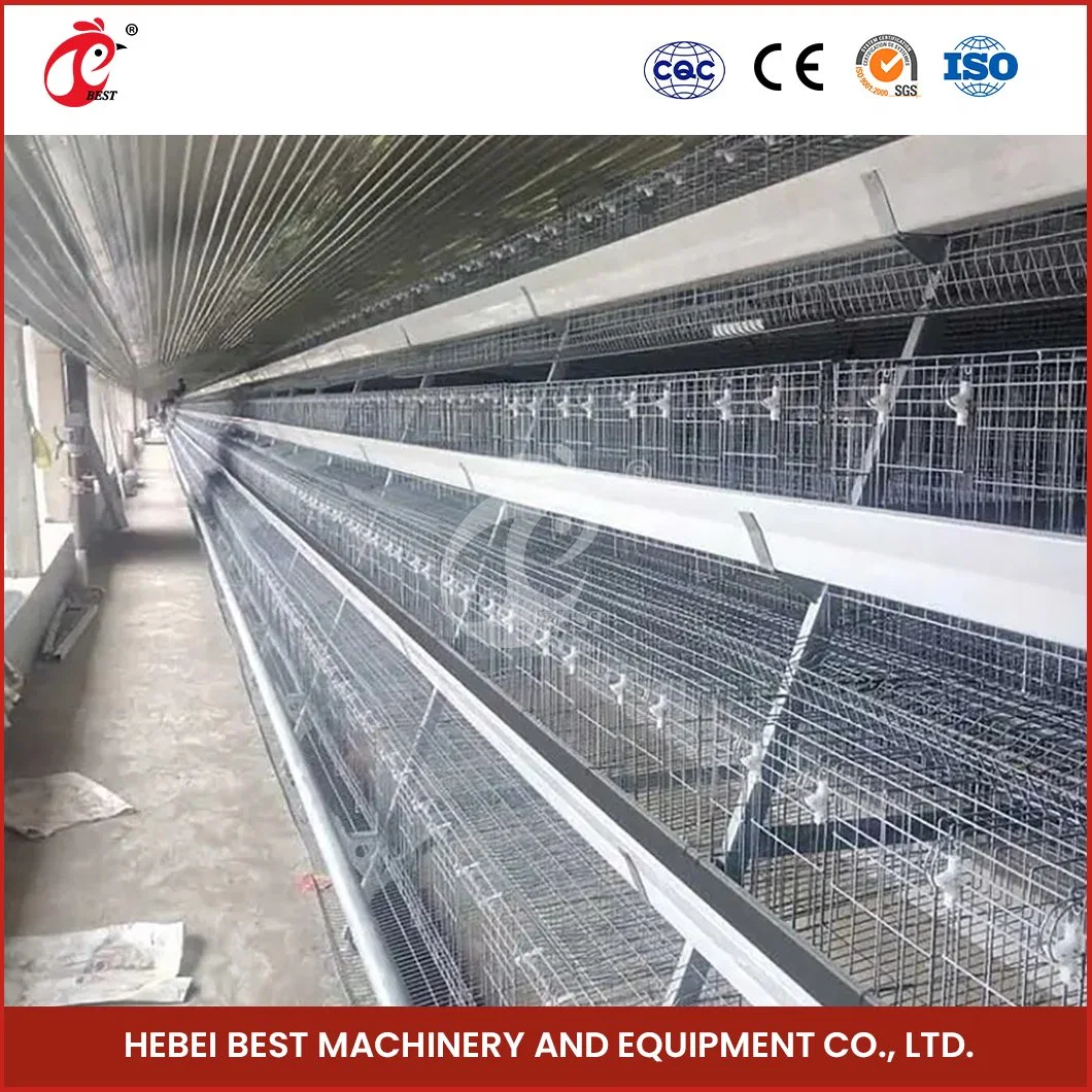 Bestchickencage un Tipo Pullet Coop jaula de Breeder jaula China Home Muestra gratuita de la fábrica de copos de pollo para bebés H duradera y lavable Tipo 4 capa de la jaula de pollo del bebé/