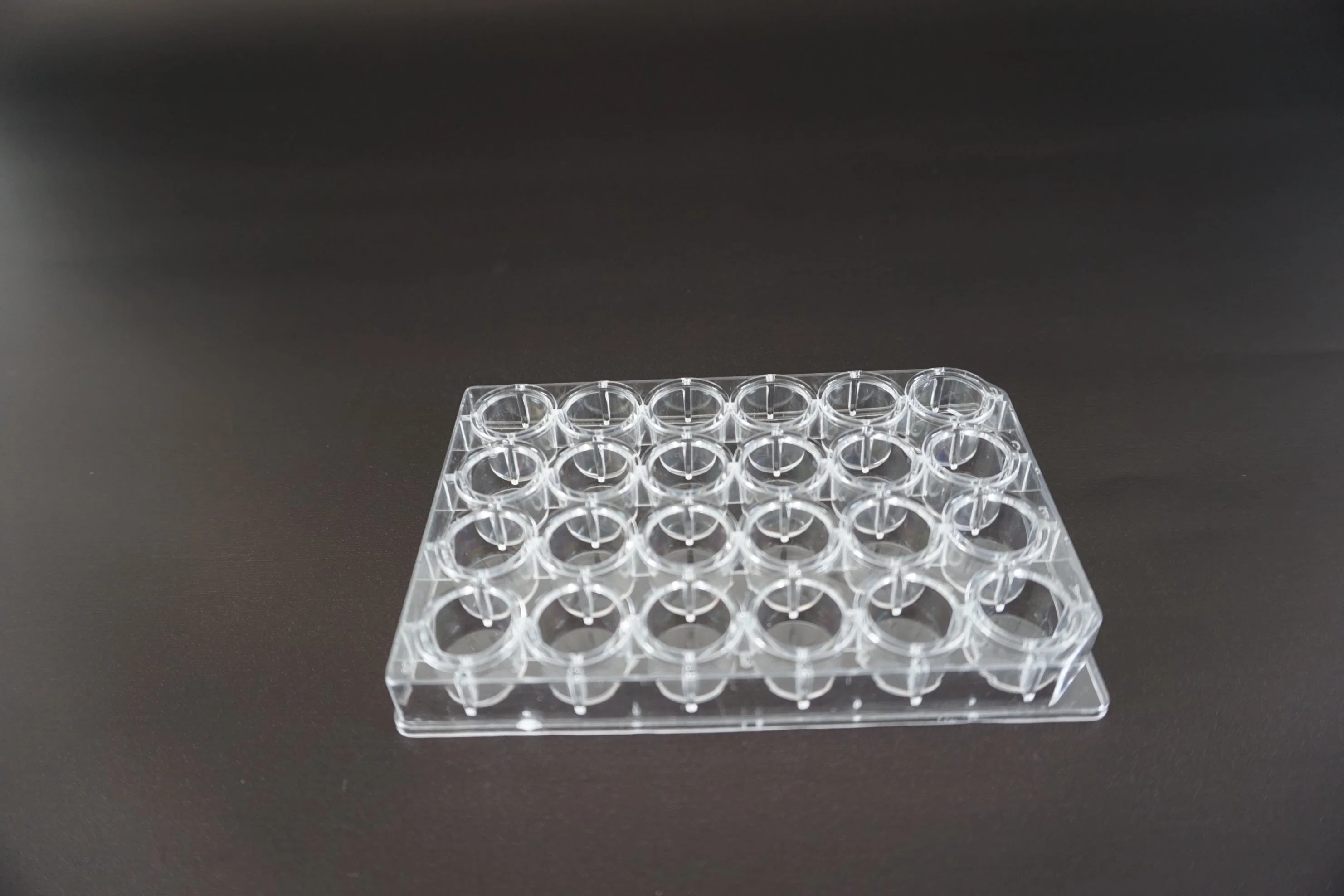 Disposable Sterile Bacterial Tissue Vessel Plastic Petri Dish Cell Culture Plate for Lab