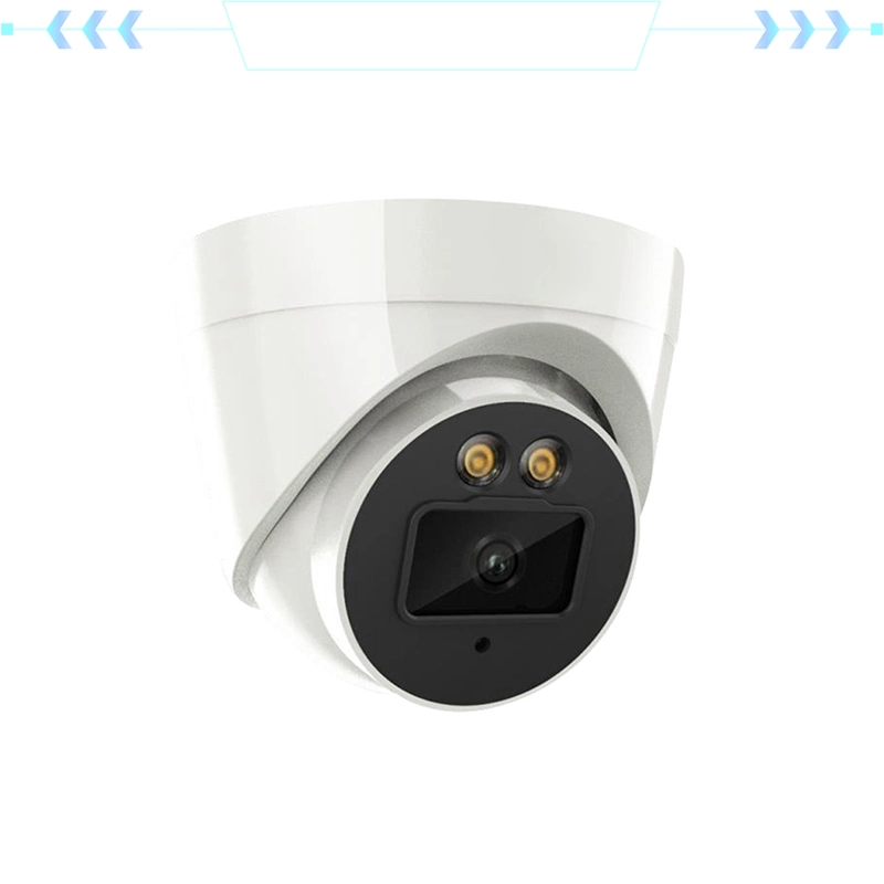 Hot Sell 3MP Poe IP Camera, Indoor and Outdoor Vandal Dome Security, 98FT Nightvision, 4.0mm Lens, IP66, Ik10 Resistance, Microsd 256GB, Cloud, NVR