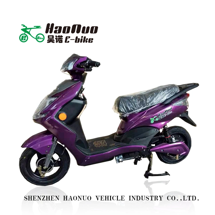 2020 Long Distance 10 Inch 60V 2 Wheel Electric Bike for Adult