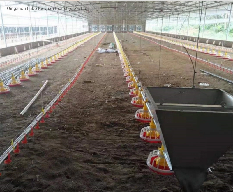 Completa línea de alimentación automática de pollo/ sinfín alimentador de Aves de Corral de Pollos/Equipos de alimentación automática