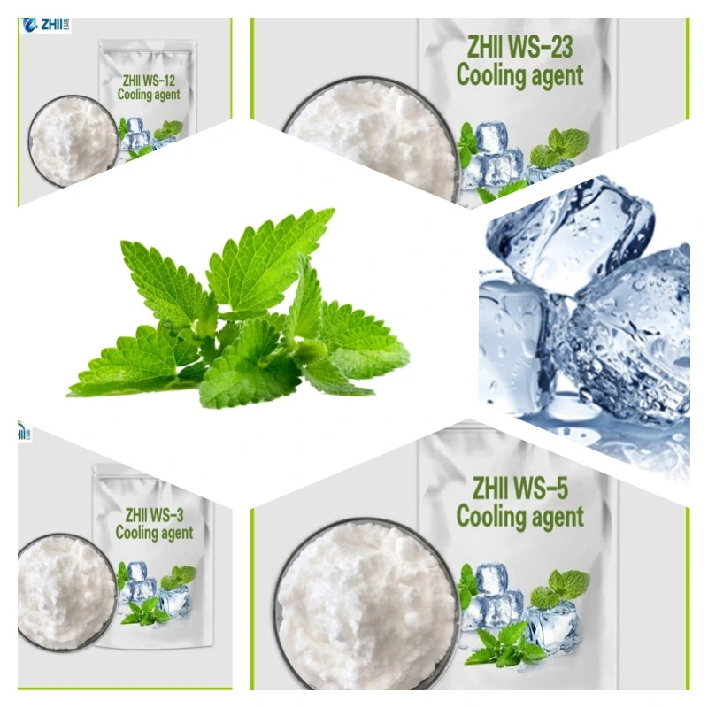 Zhii Wholesale/Supplier Bulk Price Food Grade Raw Material Menthol Crystal Ws-23 Cooling Agent