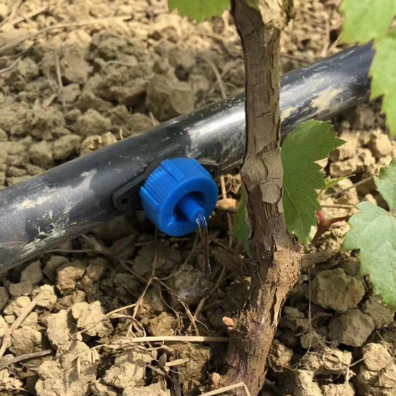 2L Druckkompensation Wassertropfer für die Bewässerung von Ackerland