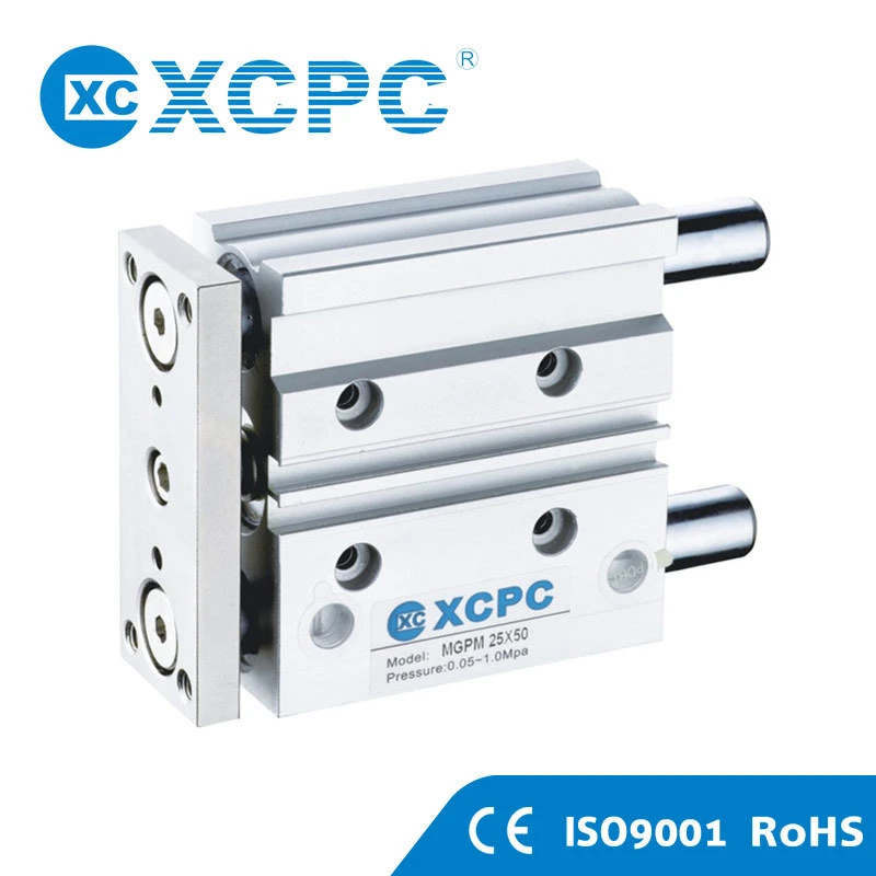 Cxs Series Dual Shaft Cylinder