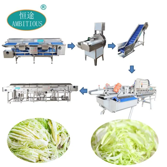 Salada de corte de legumes Slicer secagem Limpeza Bubble WASHER Vortex Washing Máquina de linha de processamento