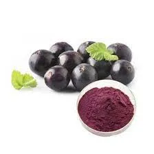 Wholesale Acai Berry Extract Powder Acaie Bery Fruit Powder