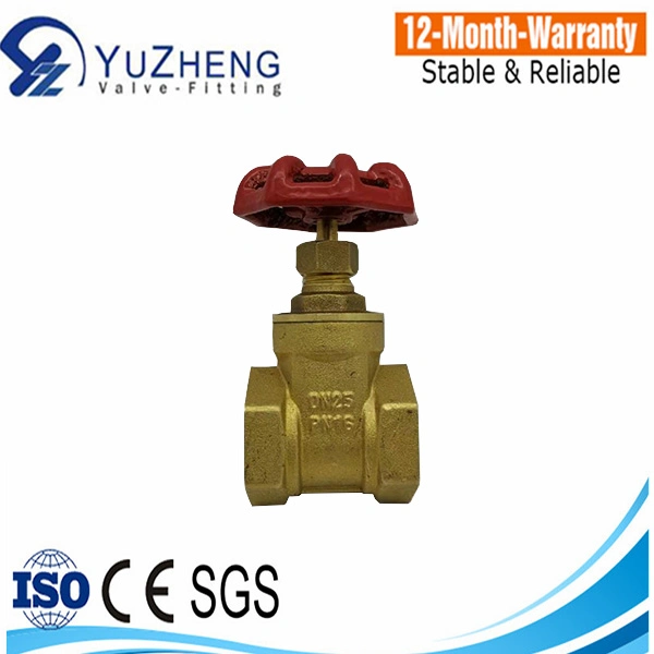 Brass/Stainless Steel 304/316 Gate Valve with BSPT/BSPP/NPT