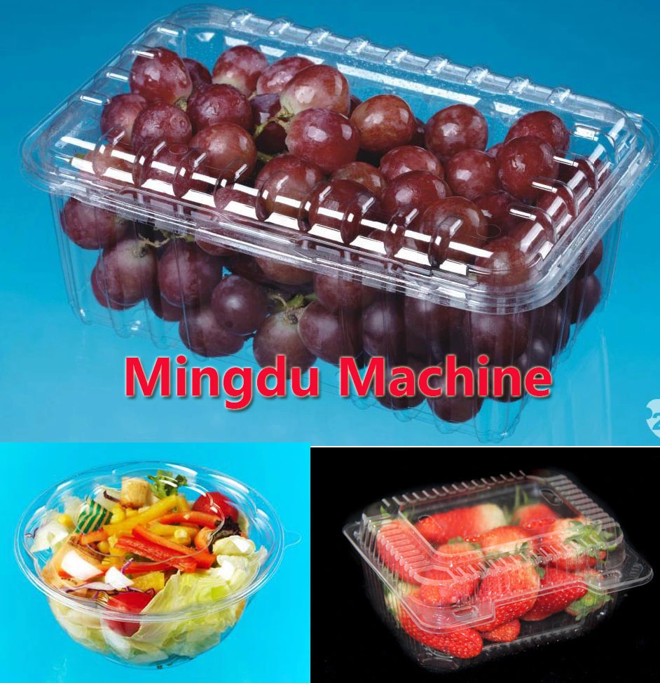 Automatic Stationery/Battery/Food Plastic Blister Forming Packaging Machine