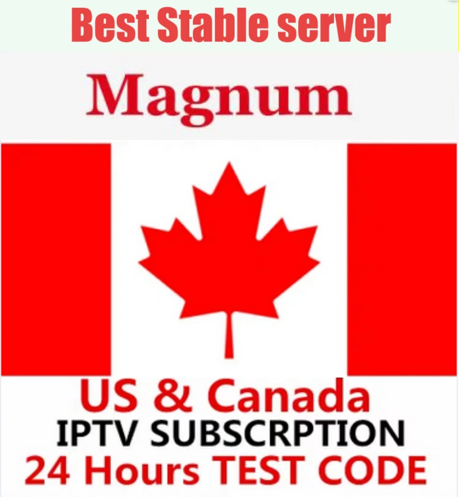 Magnum Revendedor IPTV Painel de Controle Ott de Crédito Platinum serviço de IPTV grossista de subscrição