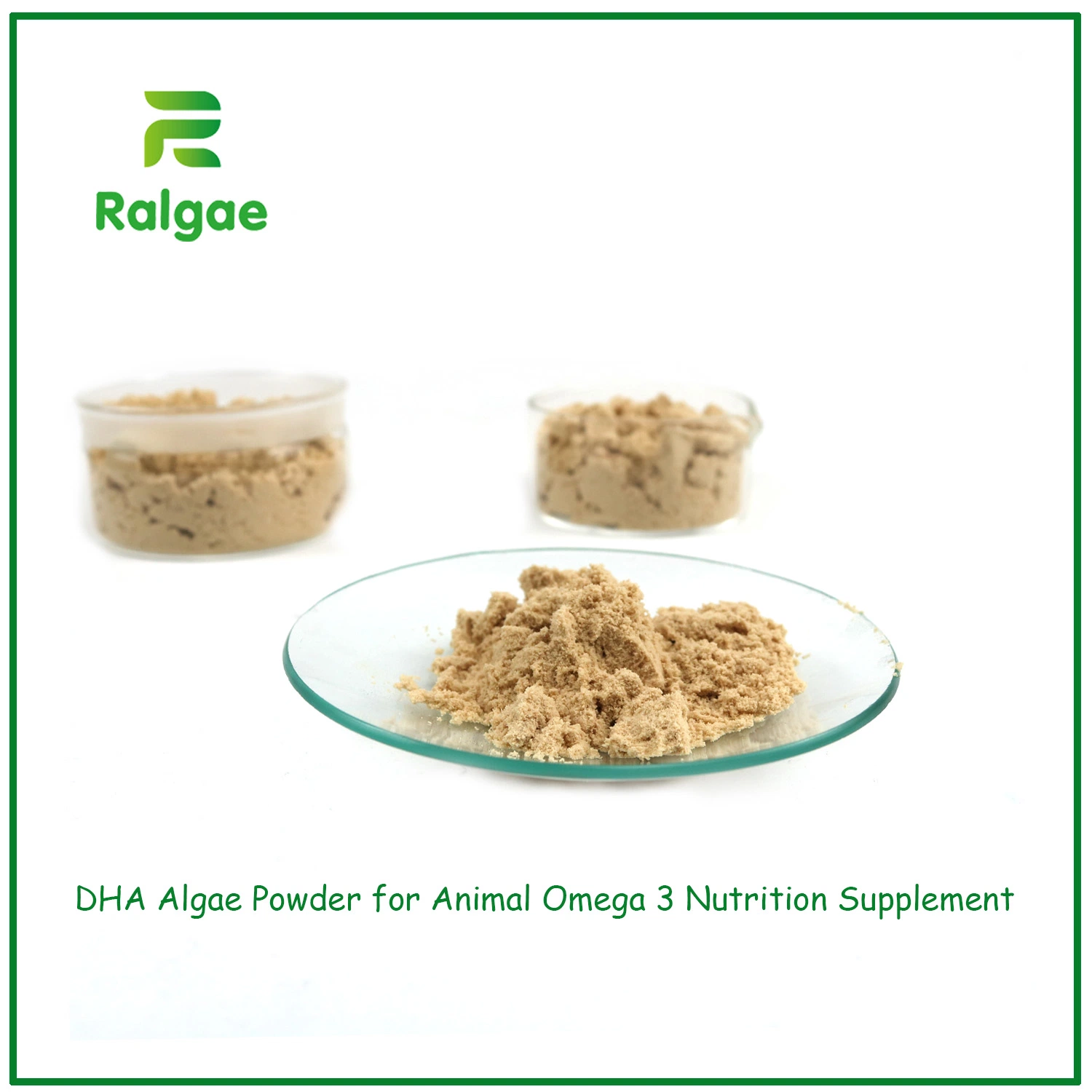 Feed Grade Omega-3 DHA Algea Powder Feed Additive High DHA for Animal Nutrition Supplements CAS6217-54-5