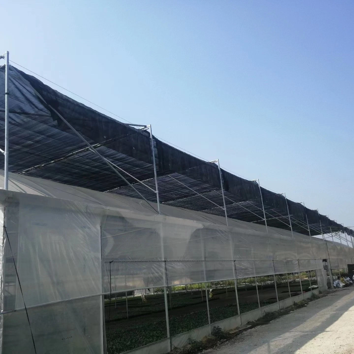 High UV Resistant Vegetables 6 Mil 8 Mil Agriculture Plastic Greenhouse Film 120mic 200 Micron Greenhouse Cover