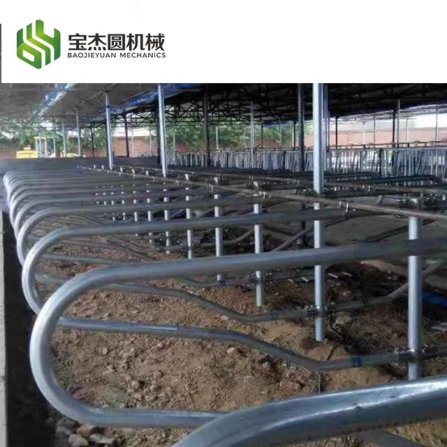 Dairy Cattle Farm Livestock Farming Equipment Cow Horse Free Project Cow Stall Panels for Sale Cattle Free Stall