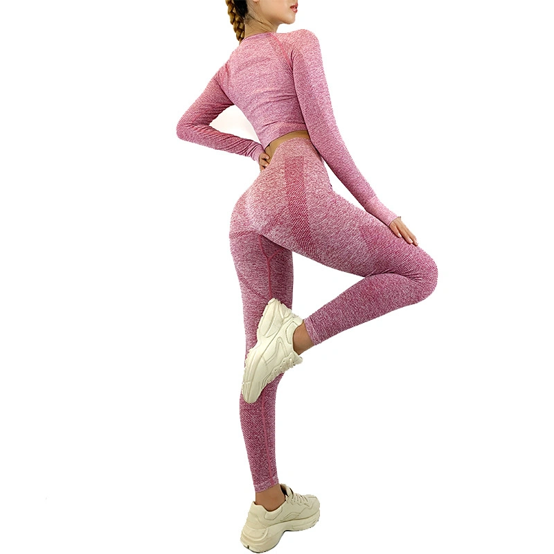 2PCS Seamless Women Yoga Set Workout Sportswear Gym Clothing Fitness Long Sleeve Top High Waist Leggings