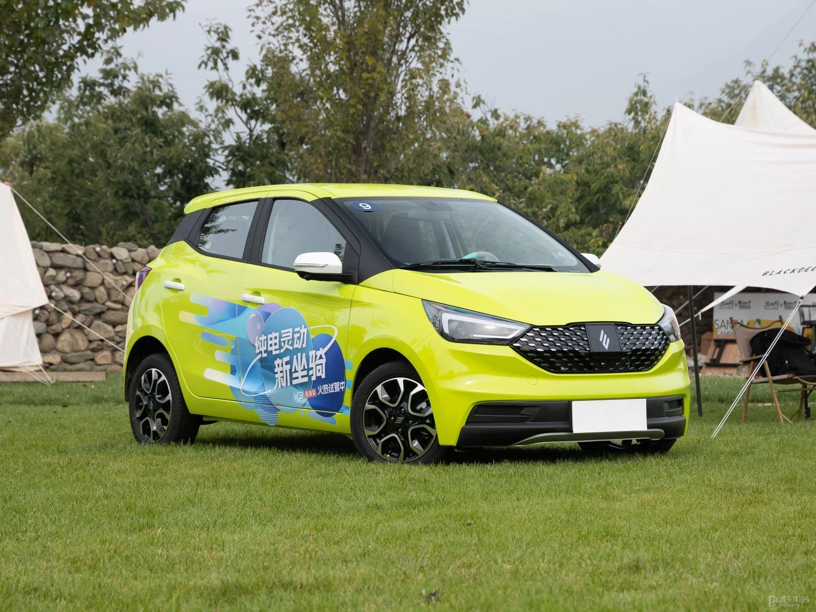 Voiture électrique moins chère