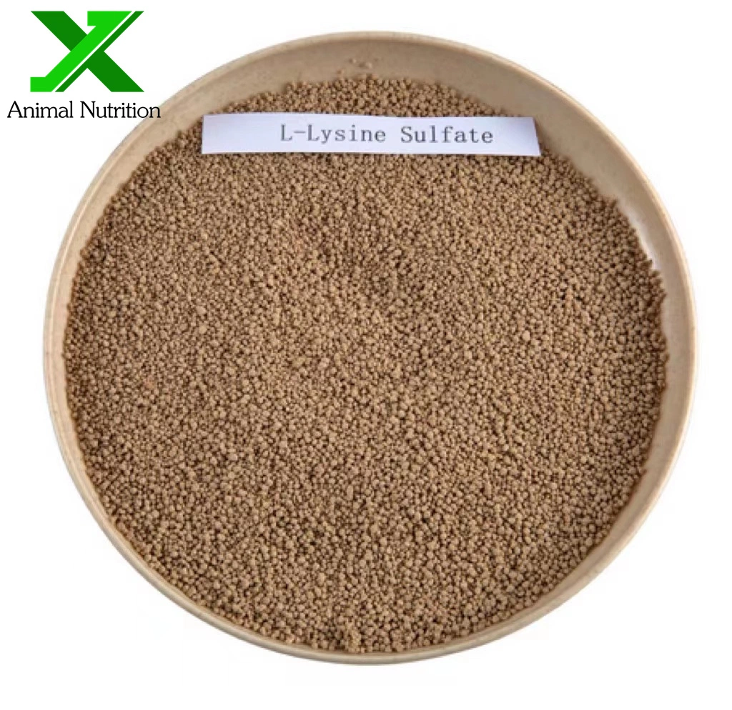 Low Price L-Lysine Sulphate 70% Feed Grade