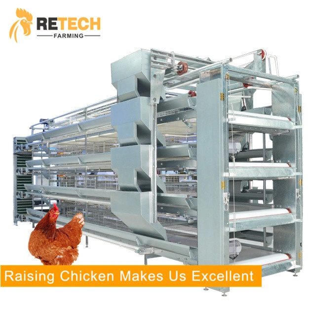 H Type Automatic Poultry Layer Cages System