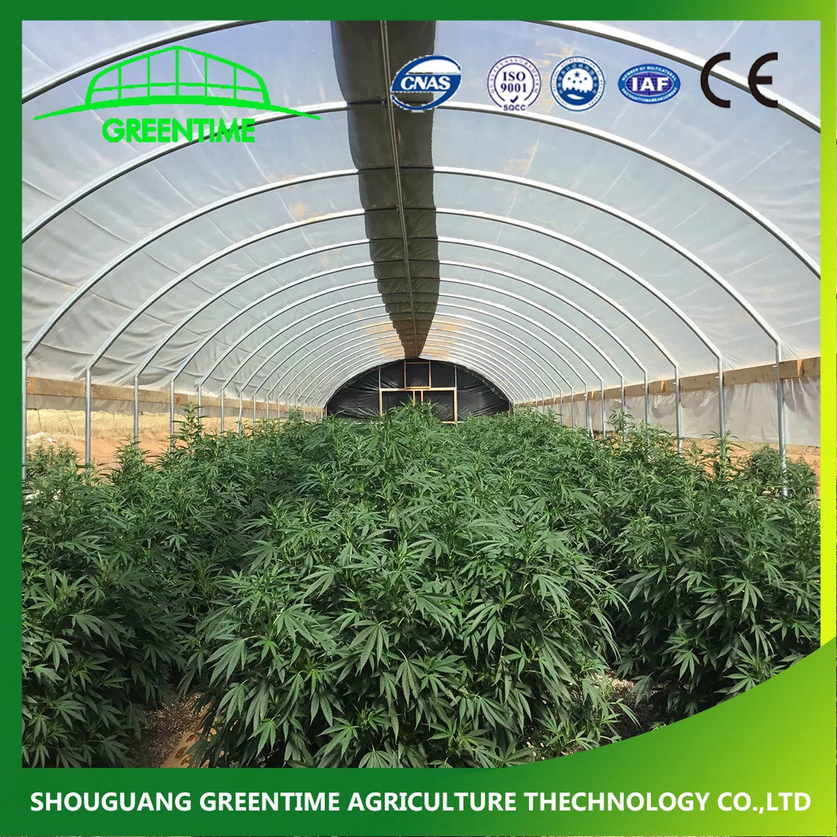 High quality/High cost performance  Commercial Light Deprivation Blackout Greenhouse in Canada