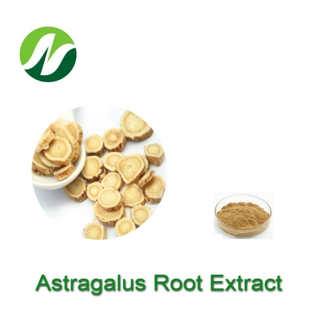 Bon fournisseur de haute qualité Astragaloside0.3%-80% Astragalus membranaceus Astragalus extrait de racine