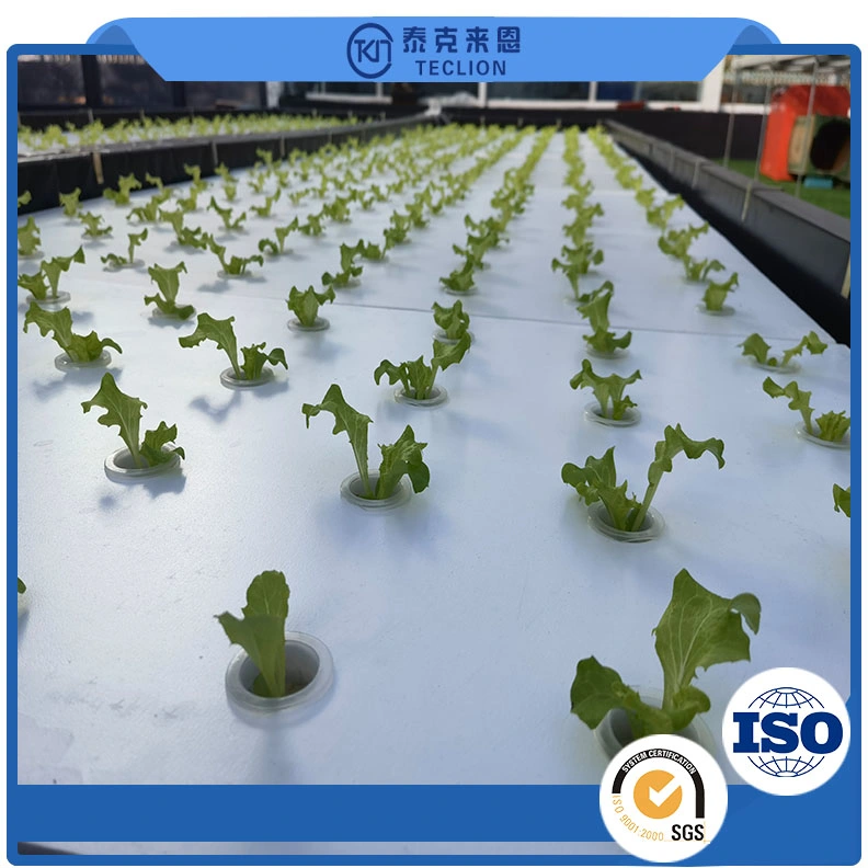 Commercial Greenhouse Planting Soilless Cultivation Hydroponics System Manufacturer Direct Sales