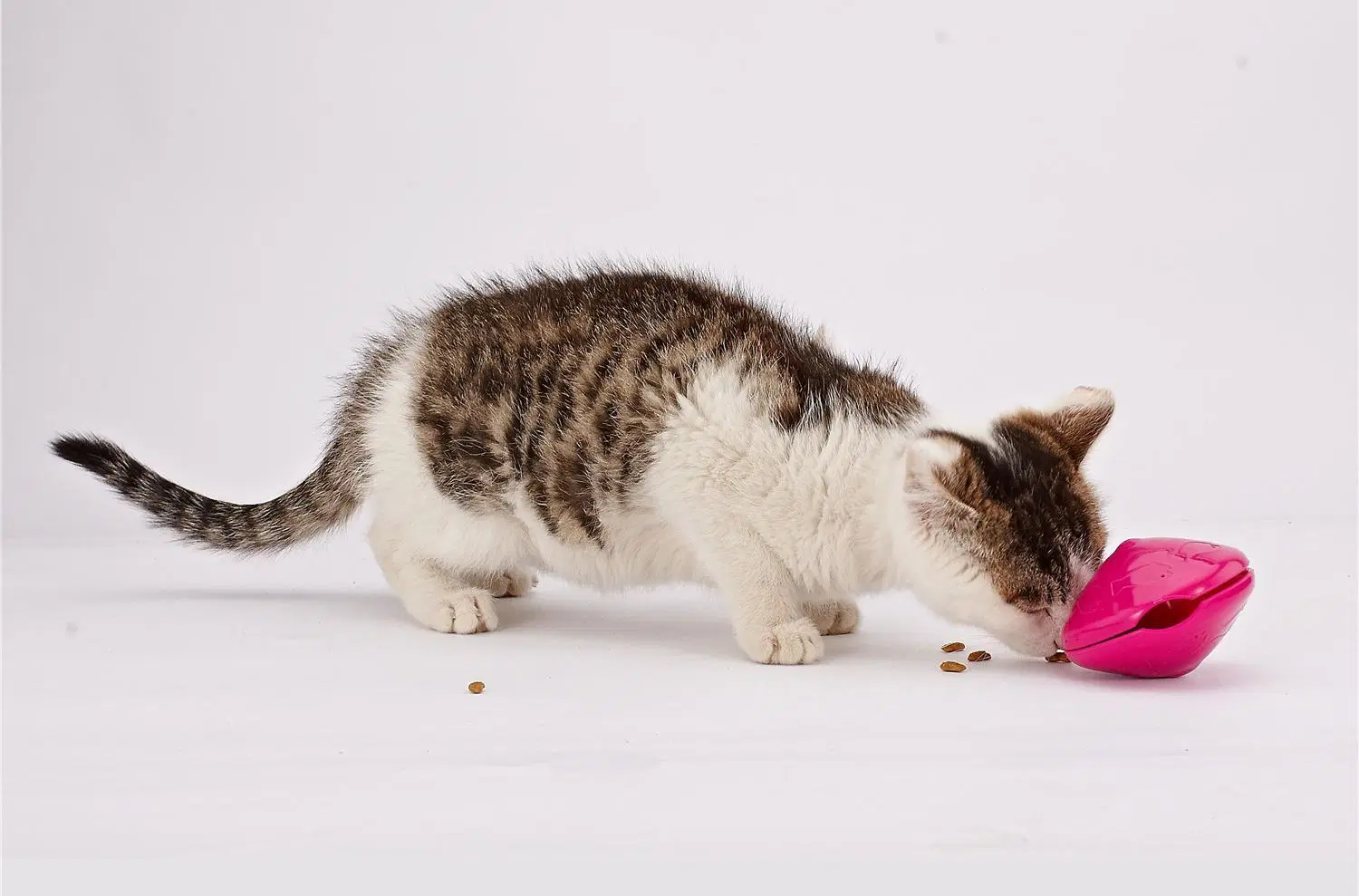 Les ventes à chaud une fuite d'aliments comme un frisbee en forme de jouets pour chat chien jouant pet