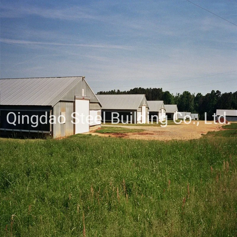 China Beste Qualität Light Steel Struktur Geflügel Huhn Farm Stahl Gebäude Strukturieren