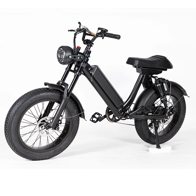 20 Inch Heavy Tire Snow Bicycle 48V 500W Strong Mountain Road Electric Bike 20ah Lithium Battery