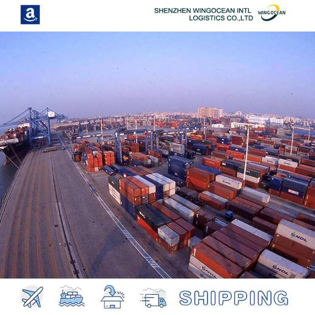 Sea / Air / Express Serviço da China para os EUA pela WingOcean Logistics