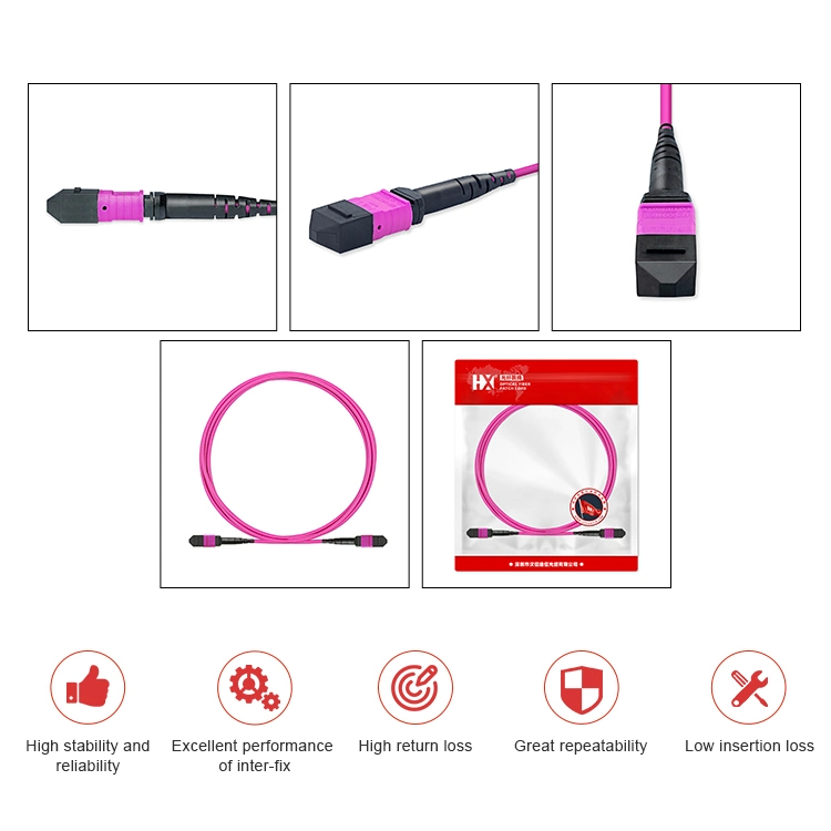 MPO/MTP Singlemode Om2 Om3 Om4 Om5 Fiber Optical Patch Cord/Pigtail