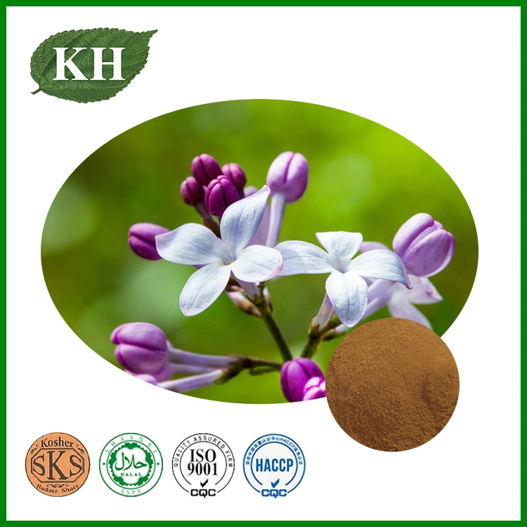 100% Natual Syzygium Aromaticum Extract Clove Extract Powder 4: 1