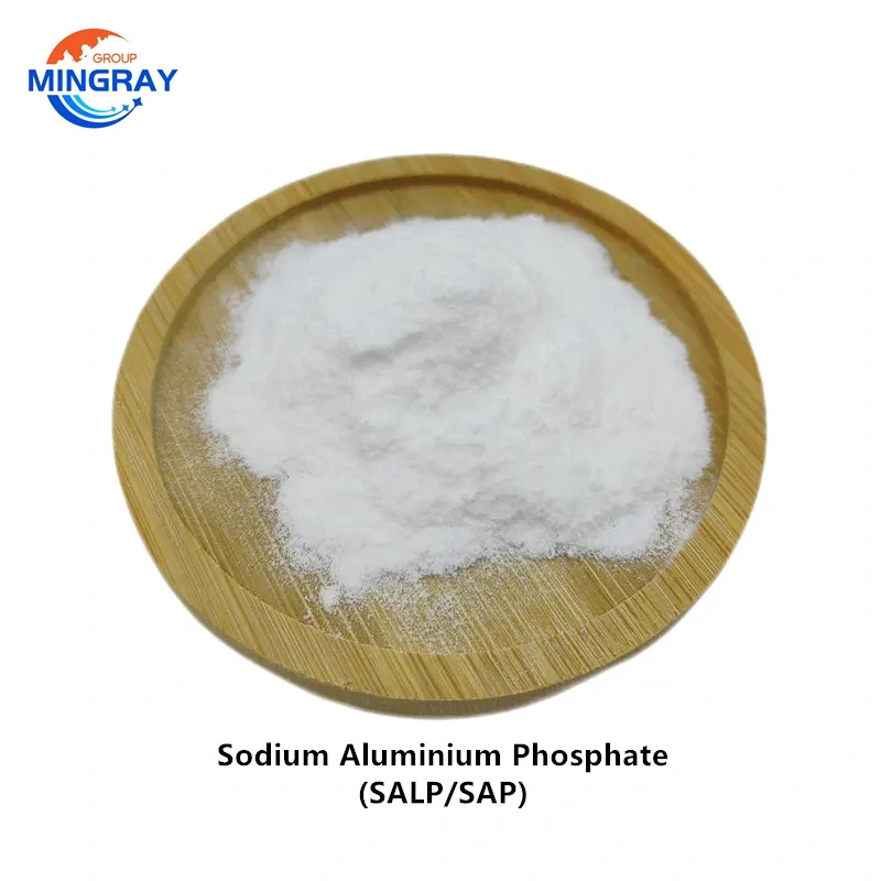 China Factory High Quality Aluminum Sodium Phosphate 7785-88-8