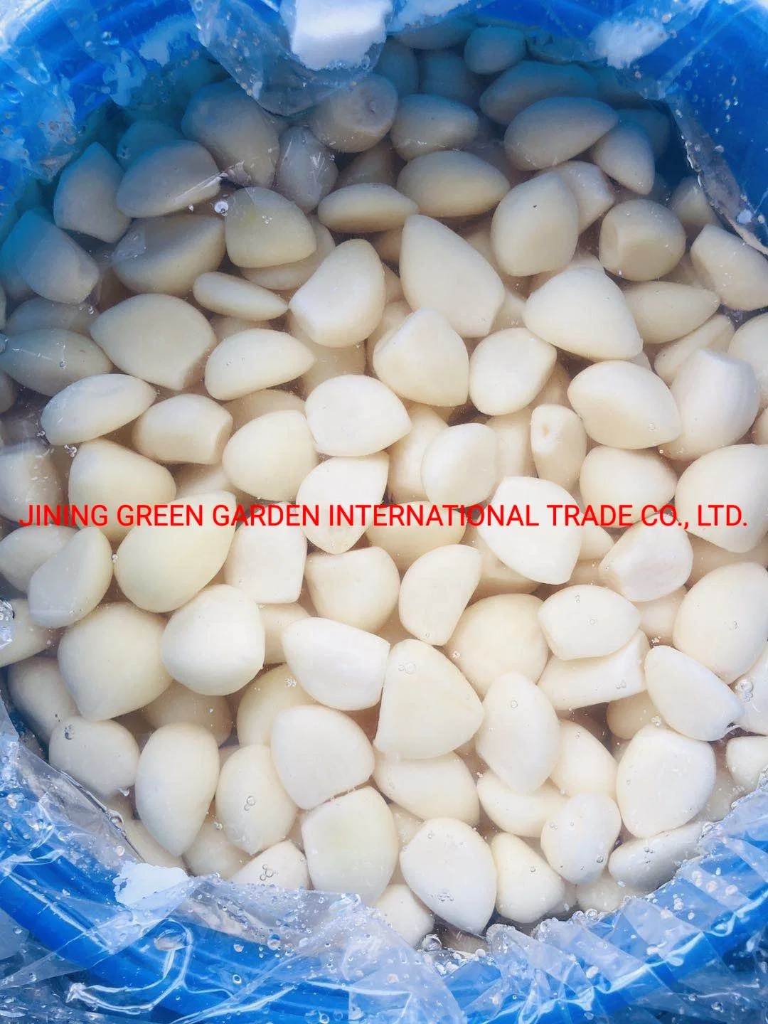 2020 Chinese Salted Garlic in Brine in Drums with Competitive Price/Peeled Picked Garlic Cloves