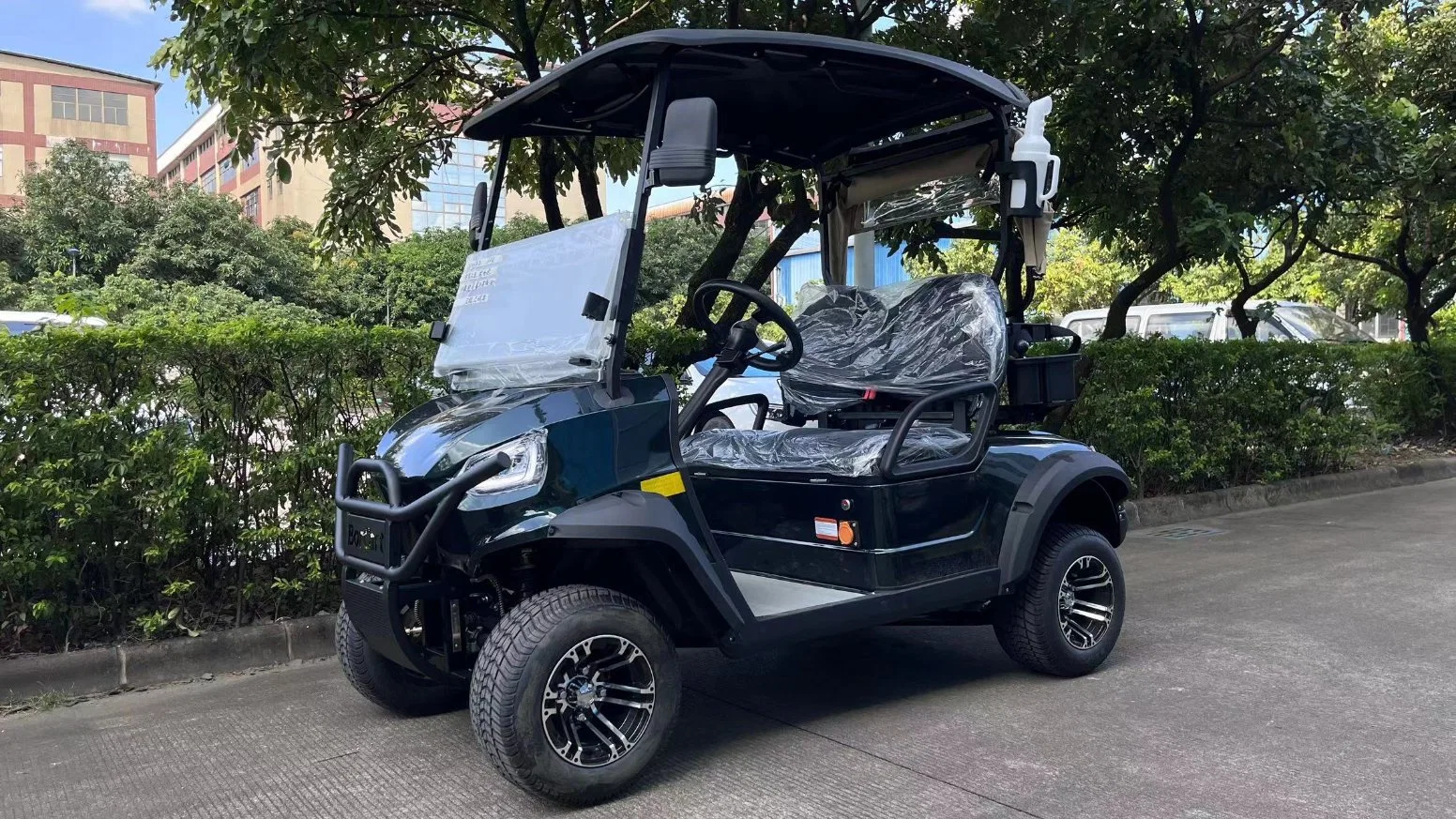 Resort Hotel Golf Course 2 asientos Electric Golf Car Club Coche