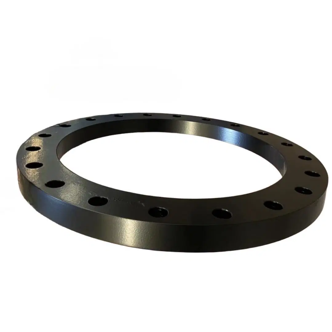 En1092-1 Type 01 Dn750 Pn10 Steel Plate Flange