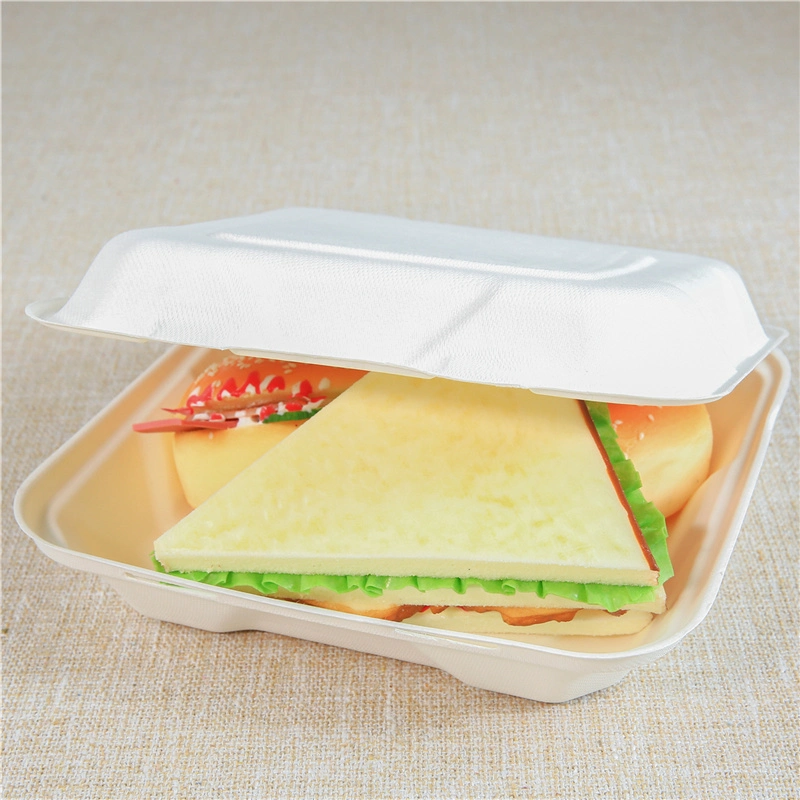 Sugar Cane 3 Compartment Food Container Lunch Disposable Bagasse Box