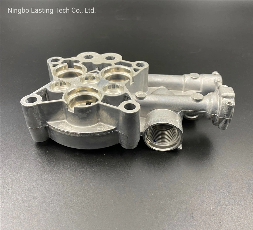 Mould Design Precise Aluminium Die Casting Parts with Burring for Cleaning Machine Pump