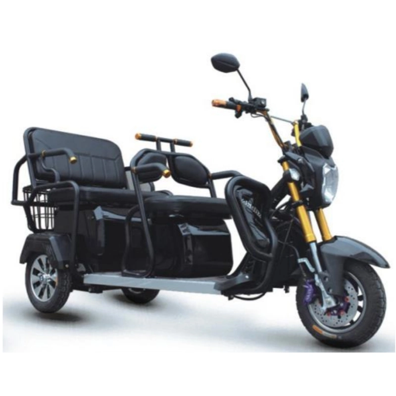 Original Factory Supply Electric Tricycle, Cargo Motorcycle, E Cargo Trike, E Vehicle