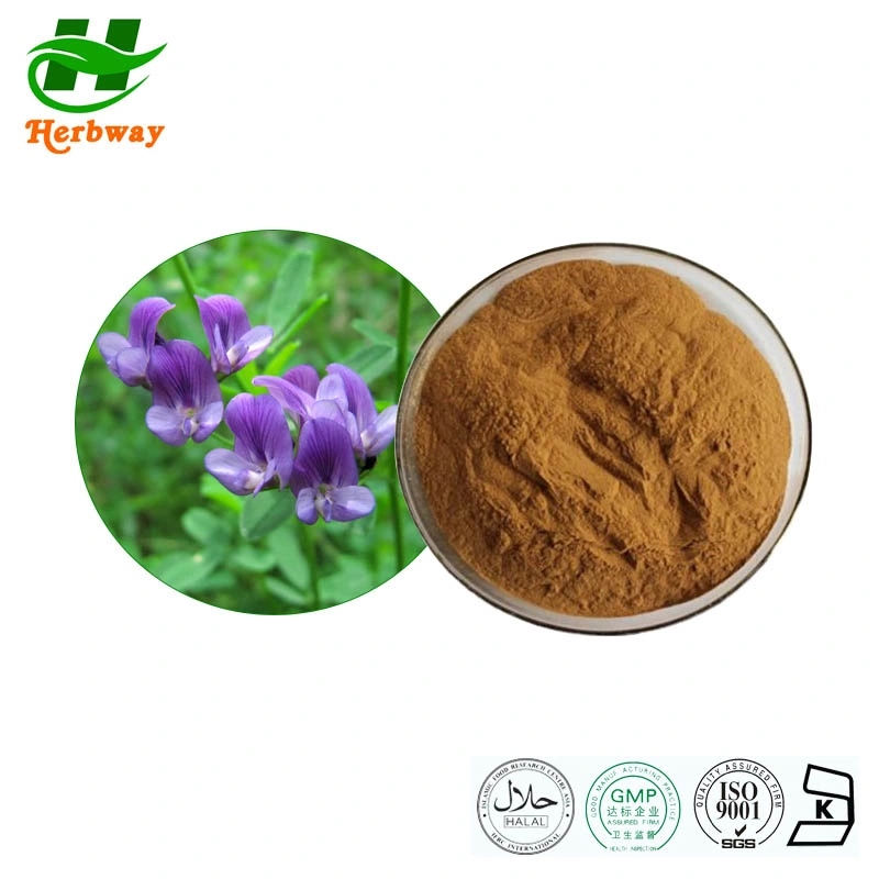 Herbway Kosher Halal Fssc HACCP Certified Free Sample Animal Feed Medicago Sativa Extract