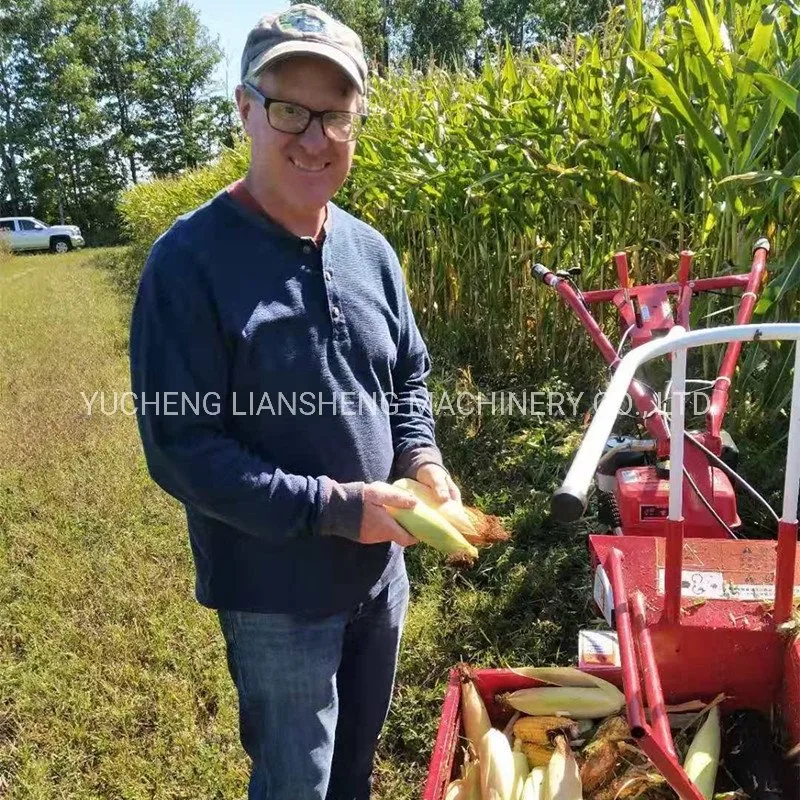 Small Sweet Corn Picking Machine That Picks Fresh Green Sweet Corn. The Machine Can Be Either The Walking Tractor Type Combine Maize Harvester