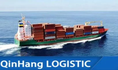 Professional Shipping Container Sea Cargo Ocean Shipping From China Shenzhen/Guangzhou/Xianggang to USA/UK