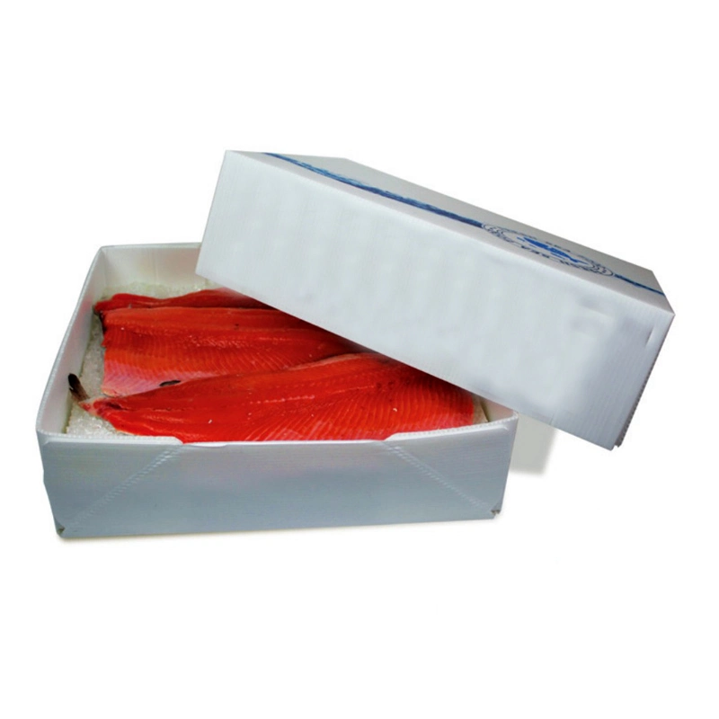 Reciclable Polipropileno Corflute Fruit Seafood Meat Box Caja de fruta de PP Corrugated Sheet Coroplast Box, Correx Box, Corflute Box, Cartonplast Box, PP Box