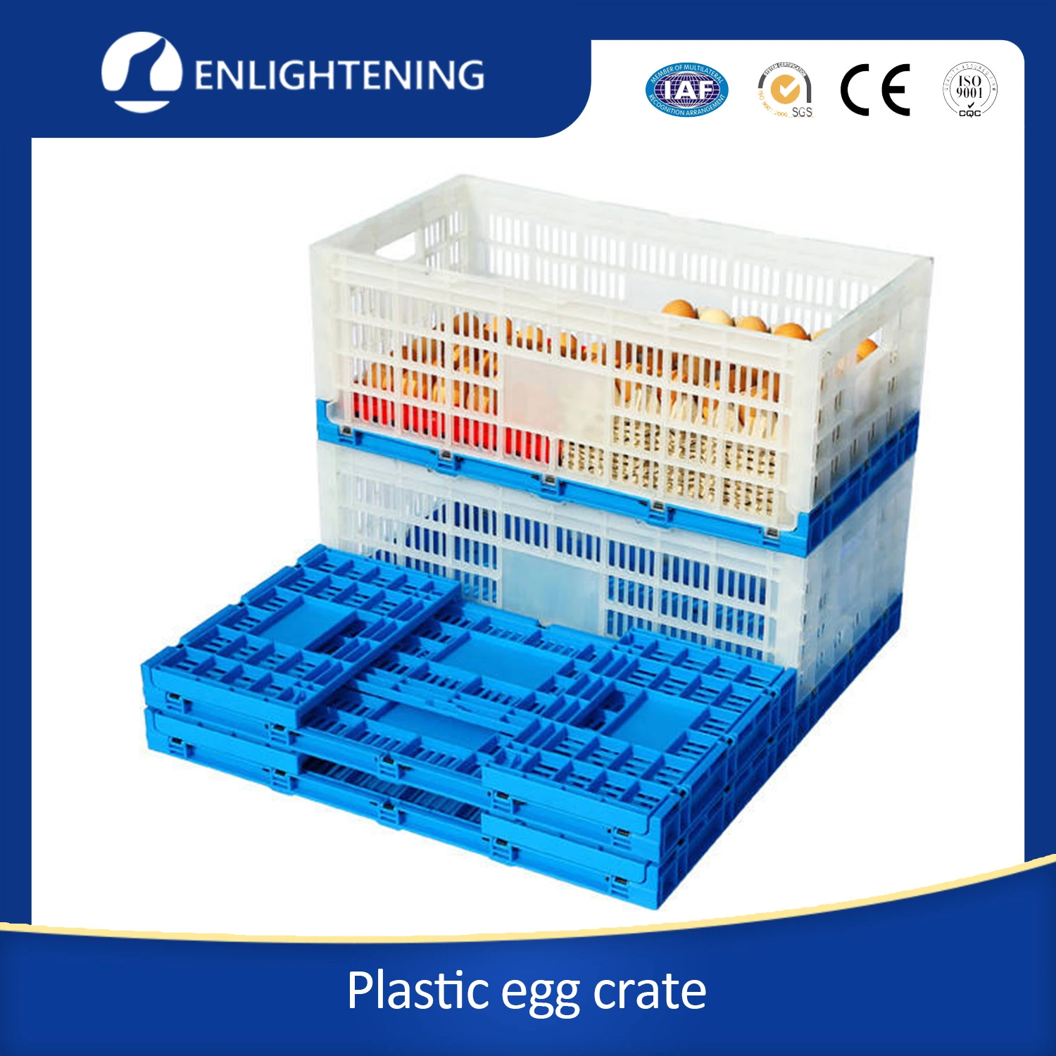 High quality/High cost performance  Large Mesh PE Durable Plastic Egg Tray Plastic Egg Crate for Supermarket