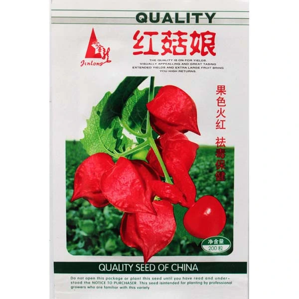 200PCS Edible Fruits Hybrd F1 Physalis Alkekengi Seeds Chinese Lantern Fruit Seeds for Planting