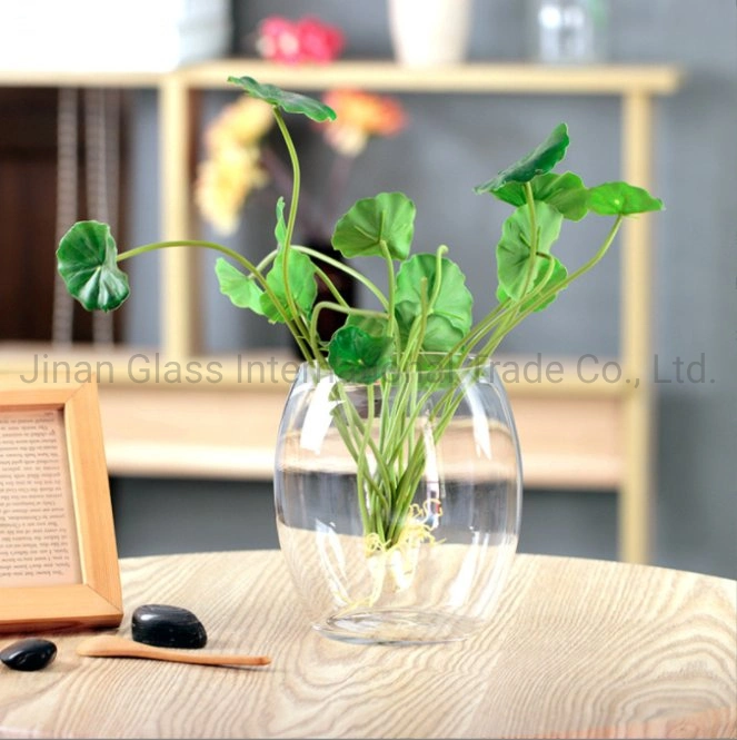 Hydroponic Plant Glass Bottle Transparent Glass Vase Container Green Pineapple Flowerpot Spherical Fish Tank