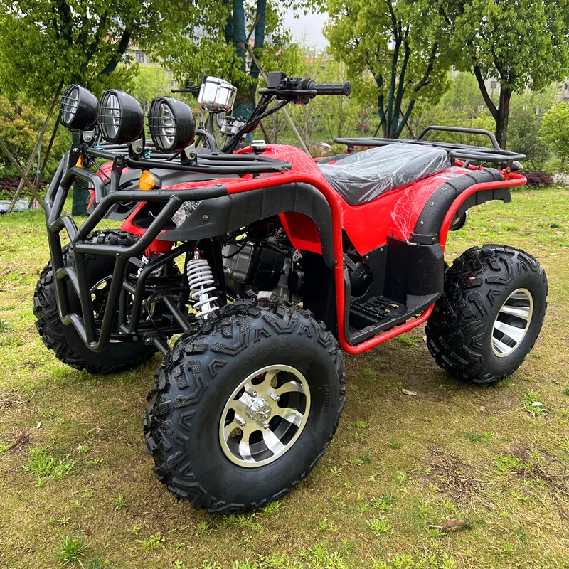 China Factory Gas Powered Gy6-250cc for Adults Auto ATV