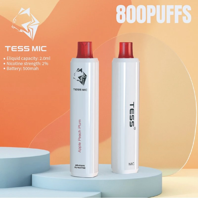 Wholesale/Supplier Disposable/Chargeable Vape 800 Puffs 10 Fruit Flavor Electric Hookah Vape Pen