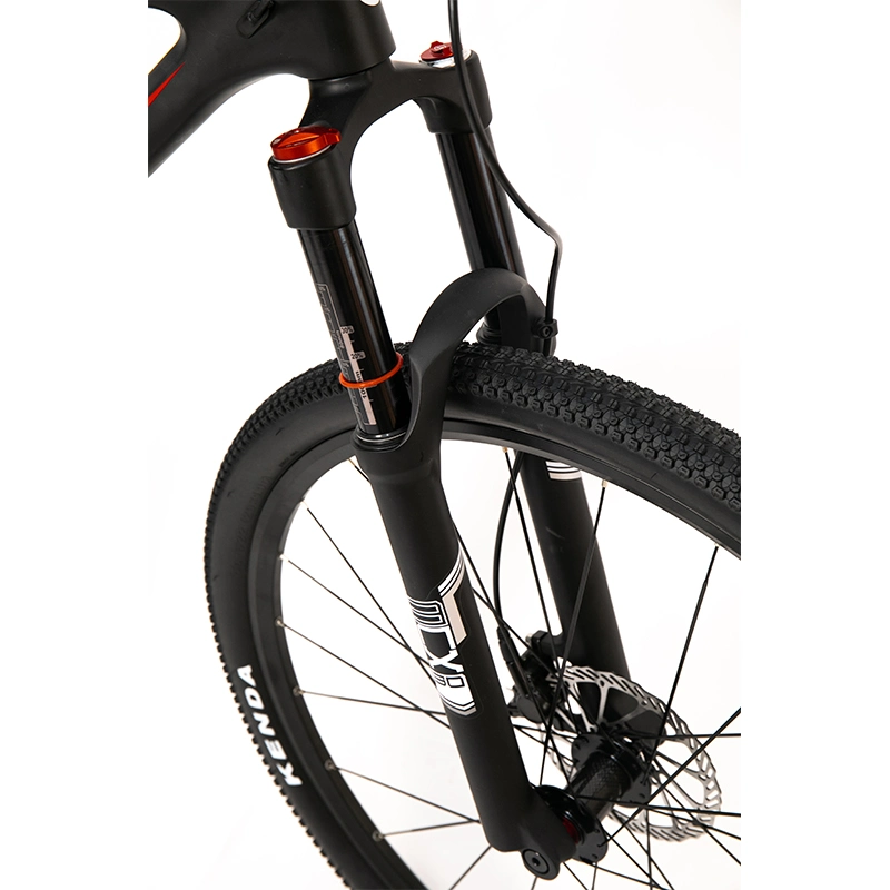 Matte Black Carbon Fiber Frame Mountain Bike 21- Speed